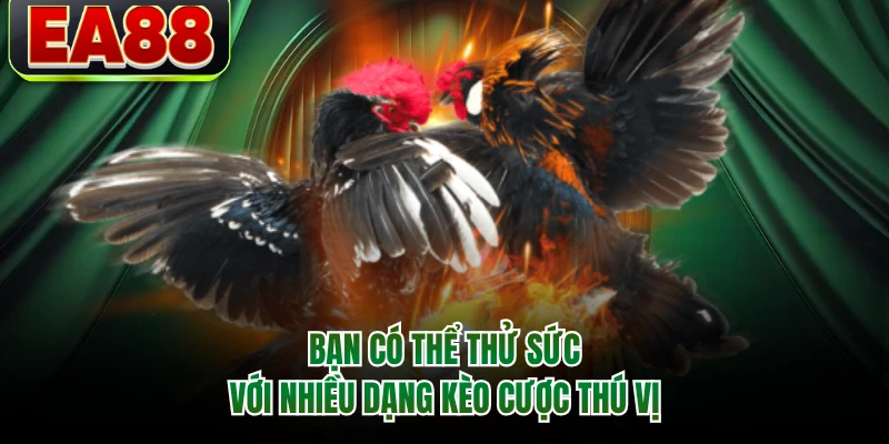 Bạn có thể thử sức với nhiều dạng kèo cược thú vị
