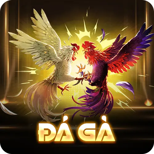 đá gà cô hằng top 1