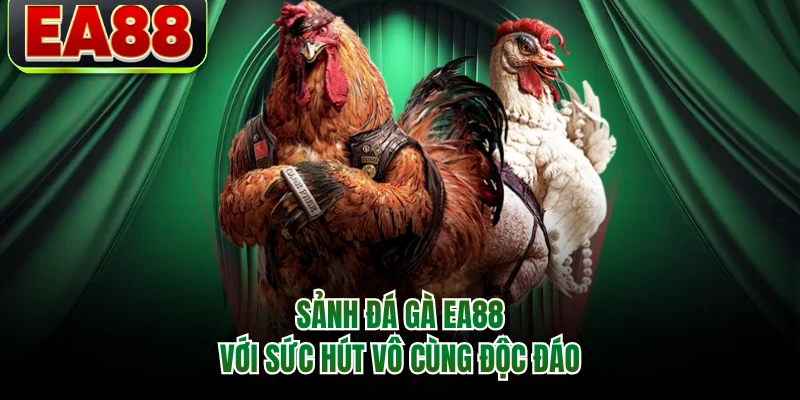 Sảnh đá gà EA88 với sức hút vô cùng độc đáo